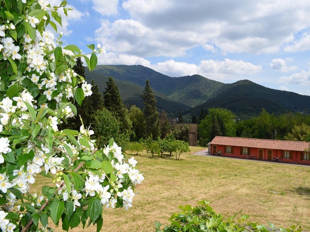 Villa Rinascimento Depandance Лука Екстериор снимка